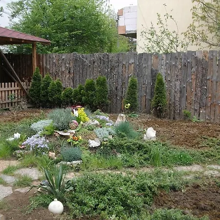 Near Paradise Centre * Софія